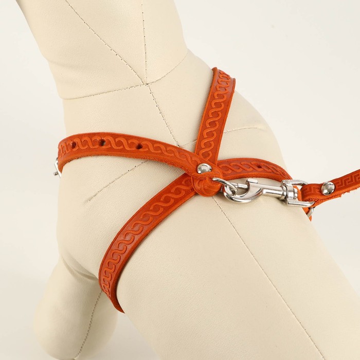 Комплект кожаный, поводок 133 см, шлейка регулируемая ОШ 20,5-34,5 см, ОГ 30-41 см, микс