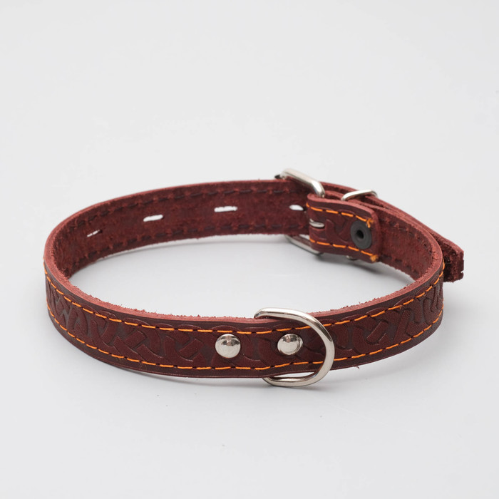 Ошейник кожаный однослойный, 48 х 2 см микс цветов