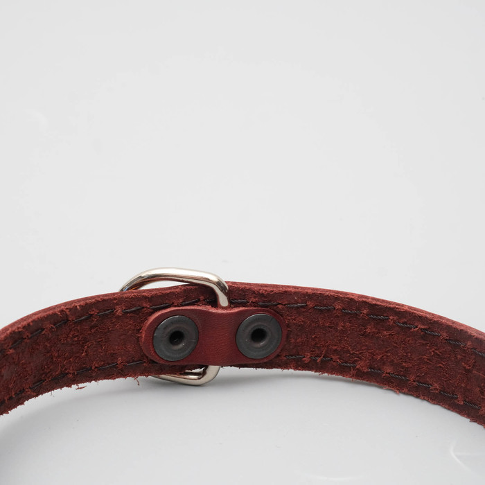 Ошейник кожаный однослойный, 48 х 2 см микс цветов