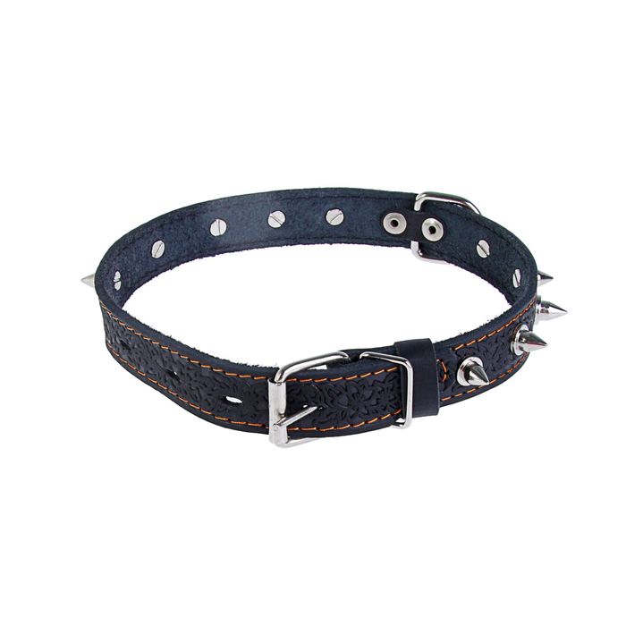 Ошейник кожаный однослойный, с шипами, 56,5 х 2,5 см микс цветов