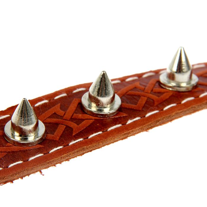 Ошейник кожаный однослойный, с шипами, 56,5 х 2,5 см микс цветов