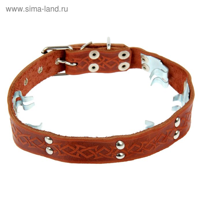 

Ошейник кожаный строгий, 61 х 2,5 см, микс цветов