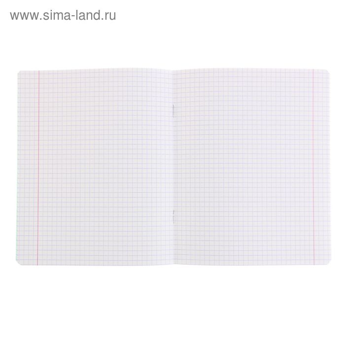 Тетрадь 24 листов клетка 
