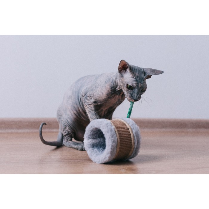 Игрушка-когтеточка с мышкой, джут и ковролин, 10 х 10 см микс цветов