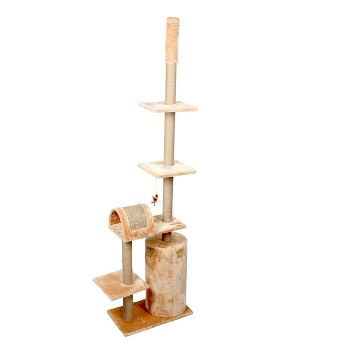 Комплекс, 255 х 70 х 40 см