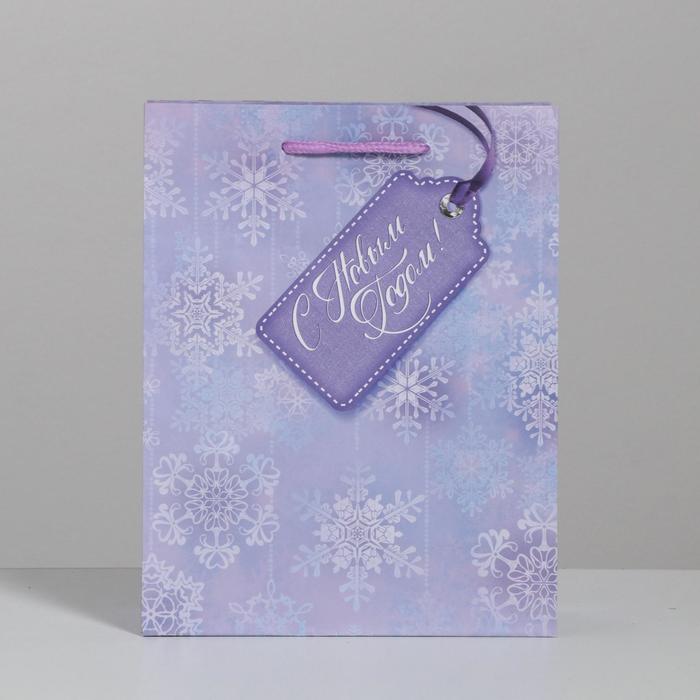 Пакет ламинированный вертикальный «Снежинки», 18 × 23 × 8 см