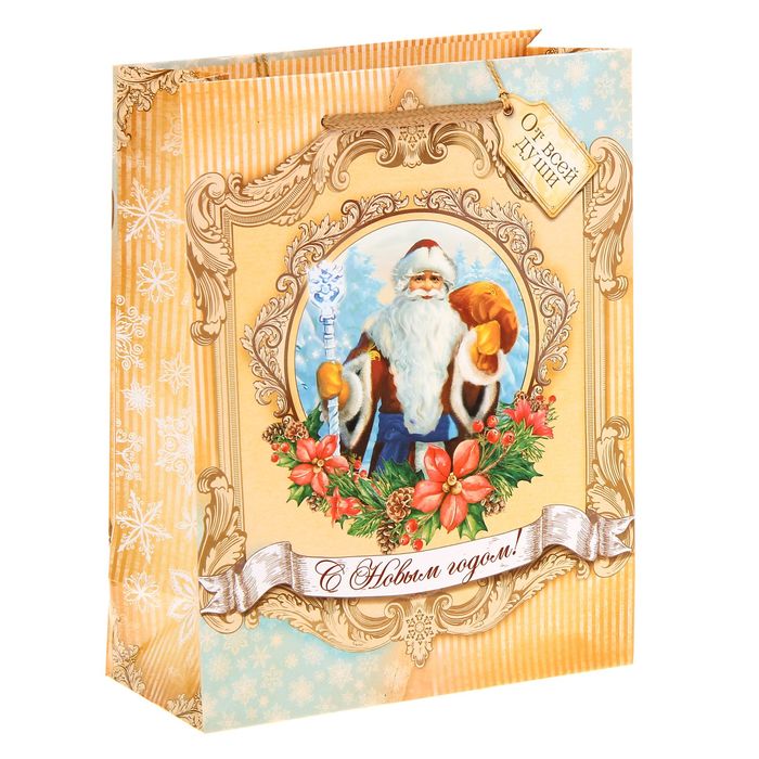 Пакет ламинированный вертикальный «Дед Мороз», 18 × 23 × 8 см