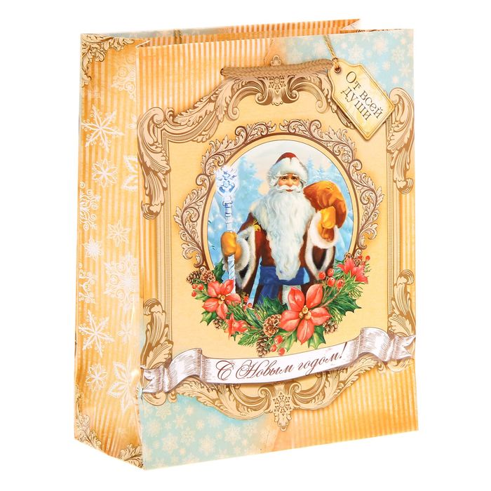 Пакет ламинированный вертикальный «Дед Мороз», 18 × 23 × 8 см
