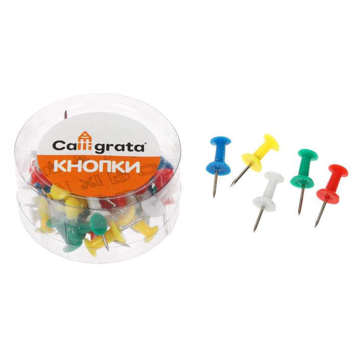 Кнопки силовые, цветные, 40 шт., в пластиковой коробке, CALLIGRATA