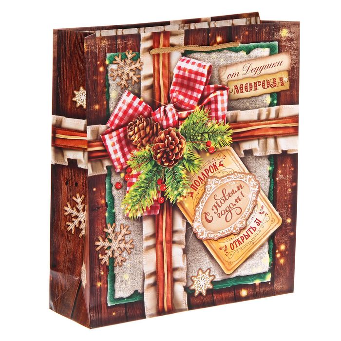 Пакет ламинированный вертикальный «Открыть 31», 23 × 27 × 8 см