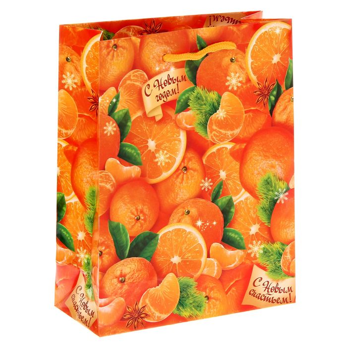 Пакет ламинированный вертикальный «Мандарины», 18 × 23 × 8 см