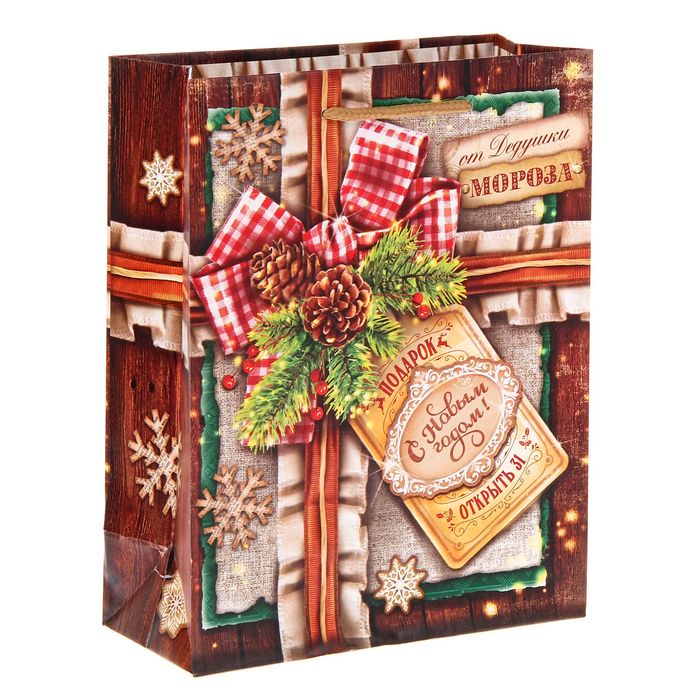 Пакет ламинированный вертикальный «Открыть 31», 18 × 23 × 8 см