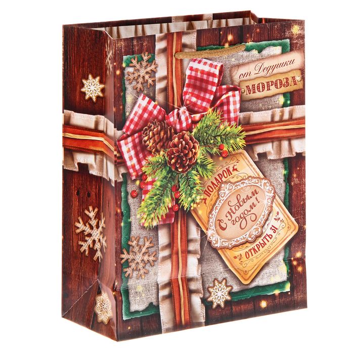 Пакет ламинированный вертикальный «Открыть 31», 18 × 23 × 8 см