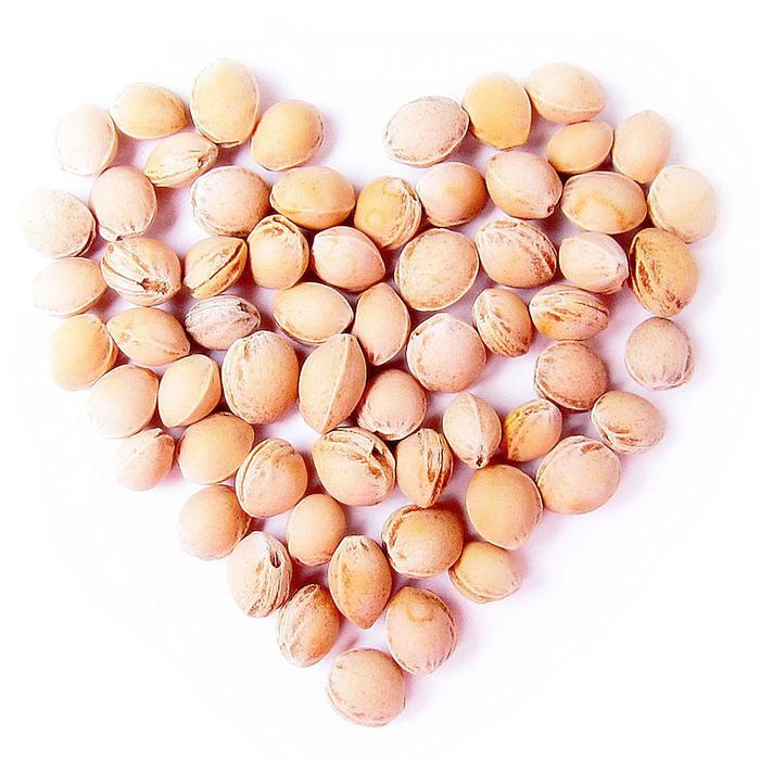 Развивающая мягкая игрушка с вишнёвыми косточками «Доктор Мякиш Пингвин»