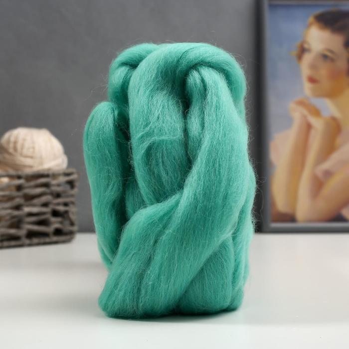 Шерсть для валяния (025 мята), 50 г
