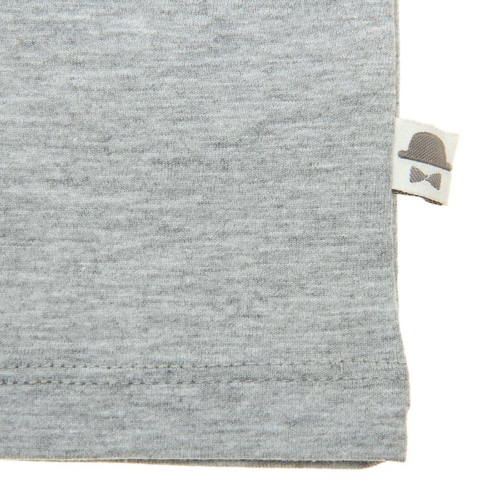 Футболка для мальчика, рост 68 см (44), цвет серый меланж