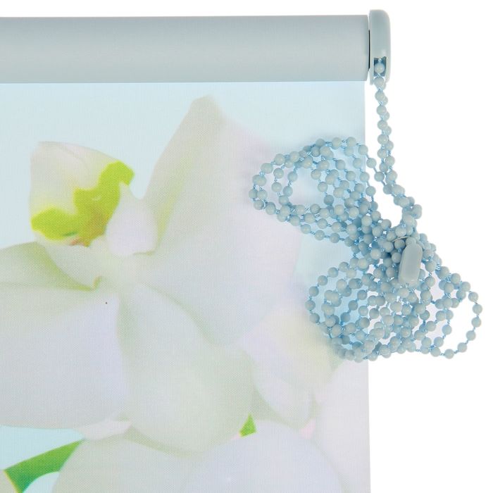 Штора-ролет 60х160 см "Орхидея", цвет голубой