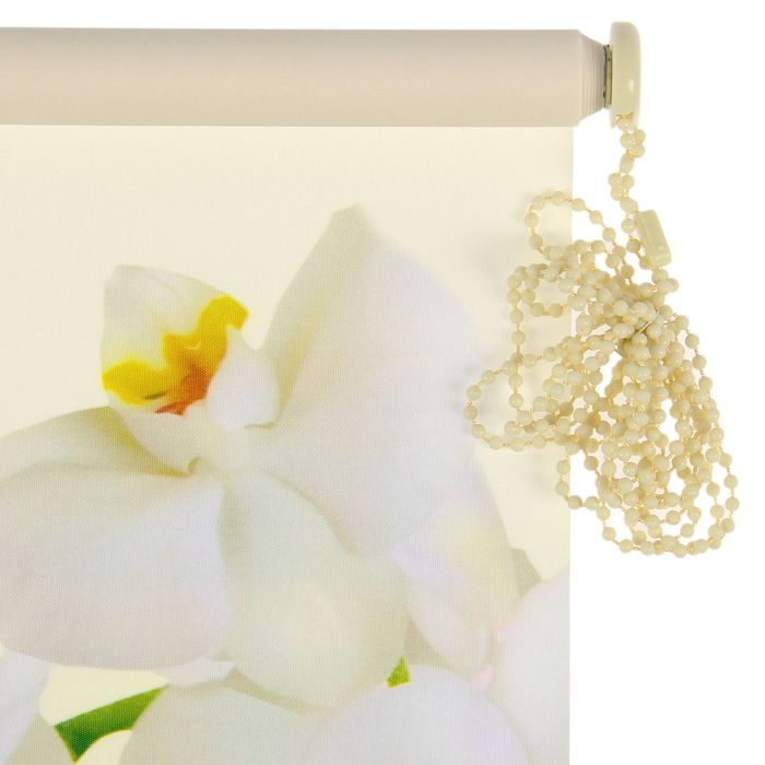 Штора-ролет 50х160 см "Орхидея", цвет бежевый