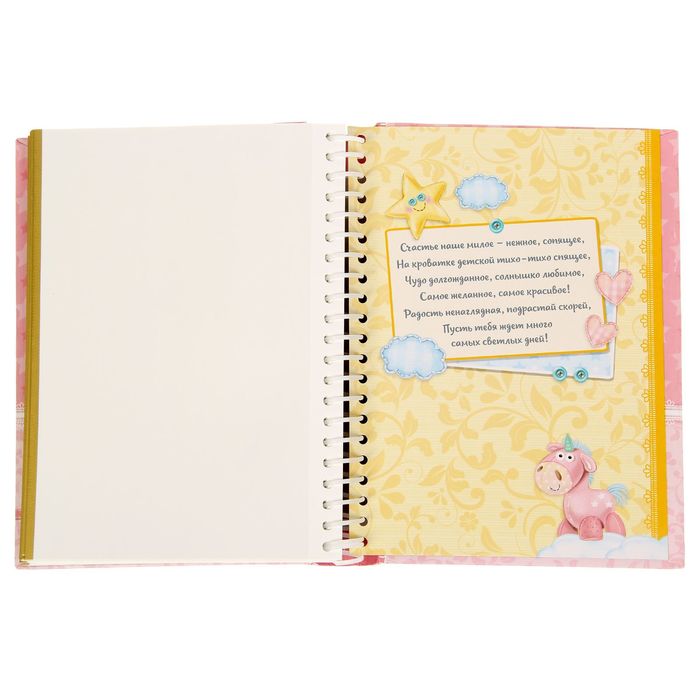 Фотоальбом на 30 магнитных листов "А у нас родилась дочка", 20 х 25 см