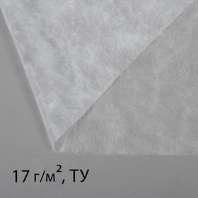 Материал укрывной, 5 × 1.6 м, плотность 17, с УФ-стабилизатором, белый, «Агротекс» Ош