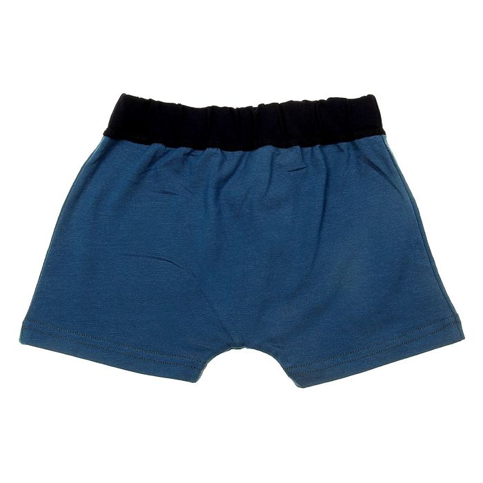 Трусы детские для мальчика, рост 68 см, цвет МИКС (арт. с718Б-16П)