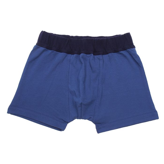 Трусы детские для мальчика, рост 68 см, цвет МИКС (арт. с718Б-16)