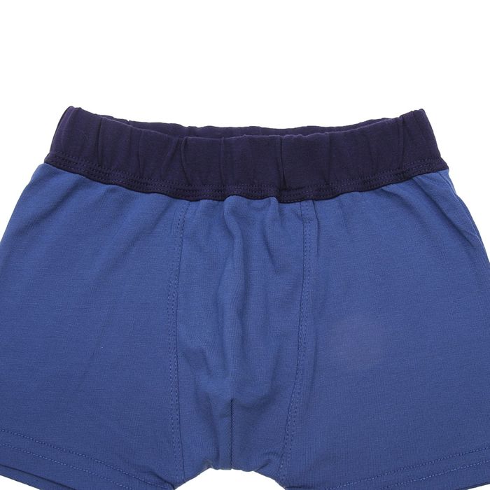 Трусы детские для мальчика, рост 68 см, цвет МИКС (арт. с718Б-16)