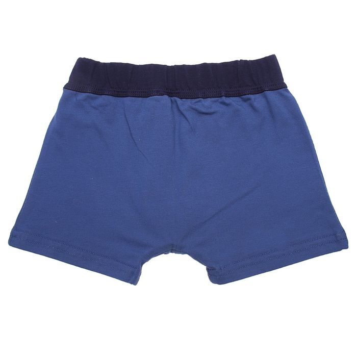 Трусы детские для мальчика, рост 68 см, цвет МИКС (арт. с718Б-16)