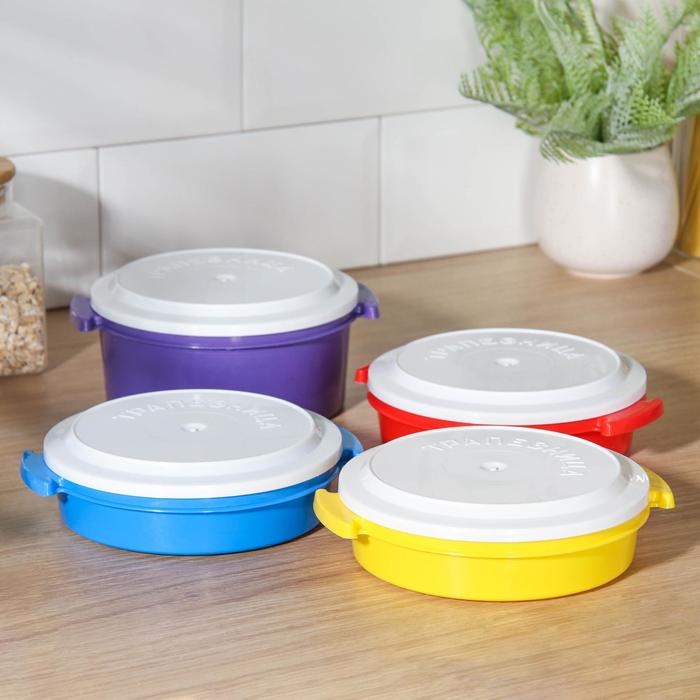 Набор контейнеров "Трапезница": 600 мл - 3 шт, 1 л - 1 шт