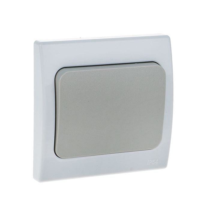 Выключатель TDM "Вуокса", 10 А, 1 клавиша, скрытый, без подсветки, цвет серый, SQ1803-0101