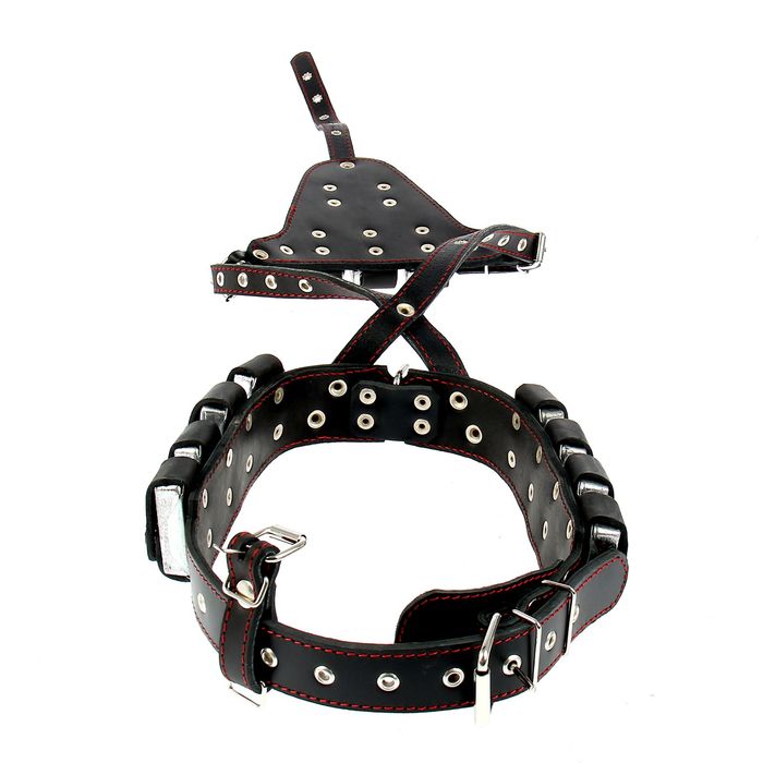 Шлейка кожаная грузовая малая, 13 грузов, ош 28-46 см, ог 63-90 см