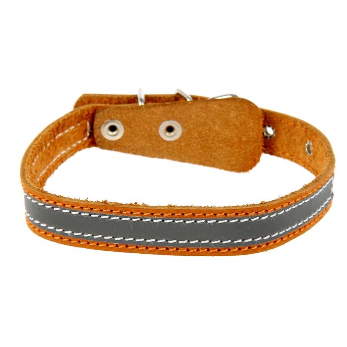 Ошейник кожаный однослойный со светоотражающей полосой, ош 31-43 см, 2 см микс цветов