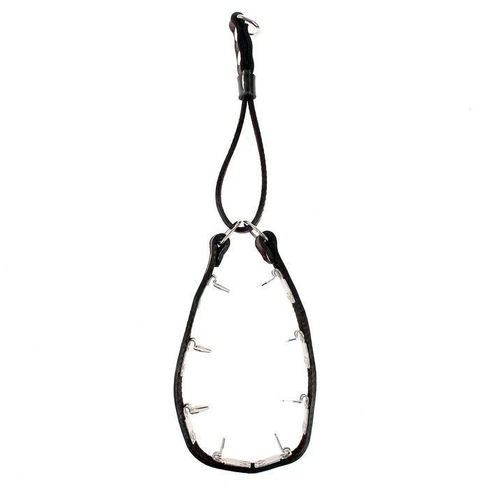 Ошейник кожаный строгий двухслойный, с кожаной удавкой, обхват 53 см