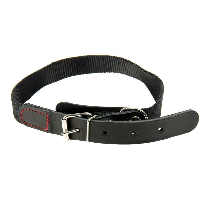 Ошейник капроновый с кожей, ош 40-52 см, 2,5 см