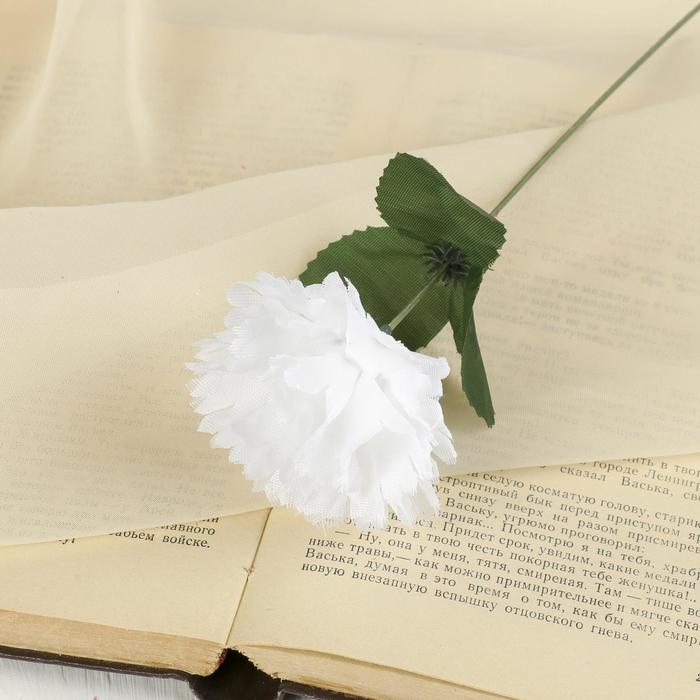 Цветы искусственные Гвоздика 25 см, белый цветы искусственные гербера садовая 6х50 см белый