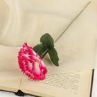 Розовый Розовый