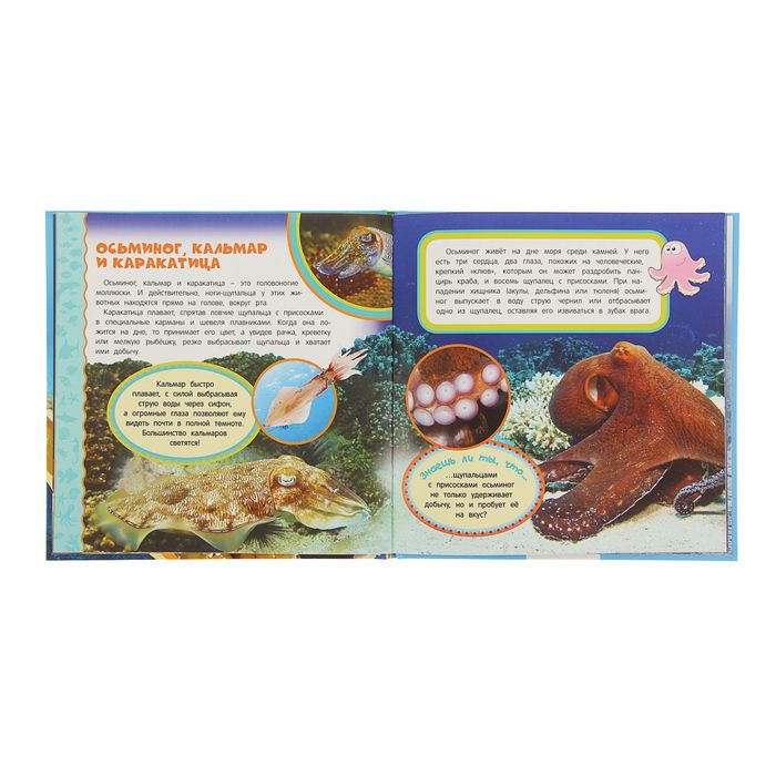 Самая первая энциклопедия «Подводный мир»