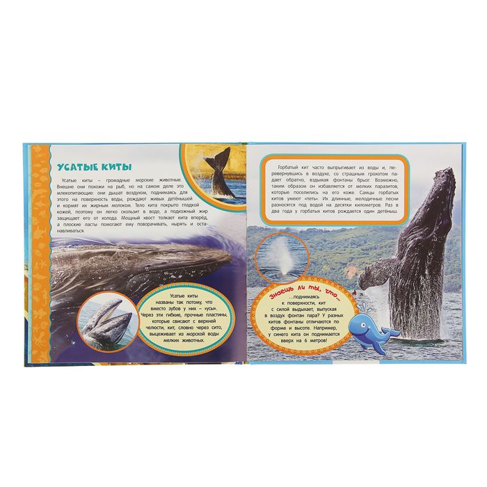 Самая первая энциклопедия «Подводный мир»