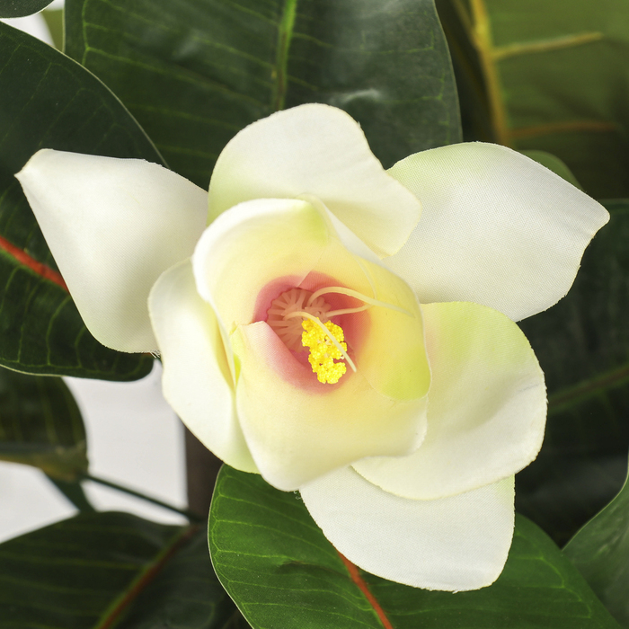 Дерево искусственное "Магнолия"