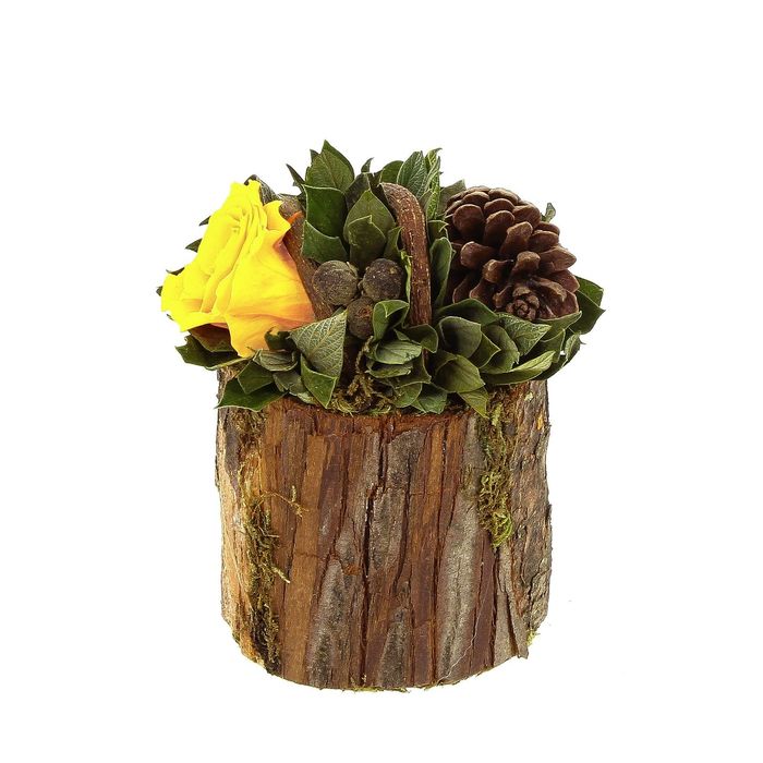 Декоративная композиция &quot;Барк&quot;, 12 х 12 х 11 см, шафран