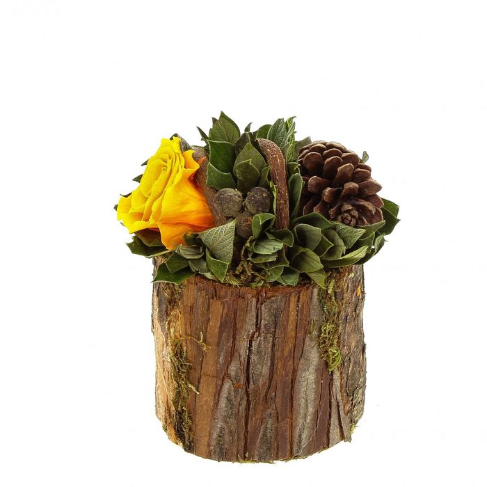 Декоративная композиция "Барк", 12 х 12 х 11 см, оранжевый