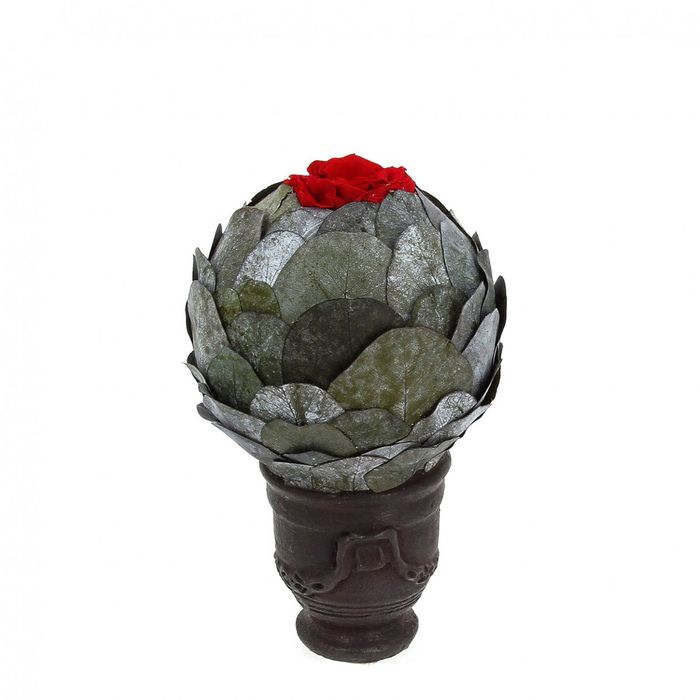 Декоративная композиция "Чёрный Эука шар" в горшке, 14 х 14 х 18,5 см