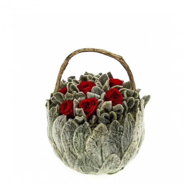 Декоративная композиция "Петит чистец" малая, 13 х 13 х 15 см, красный