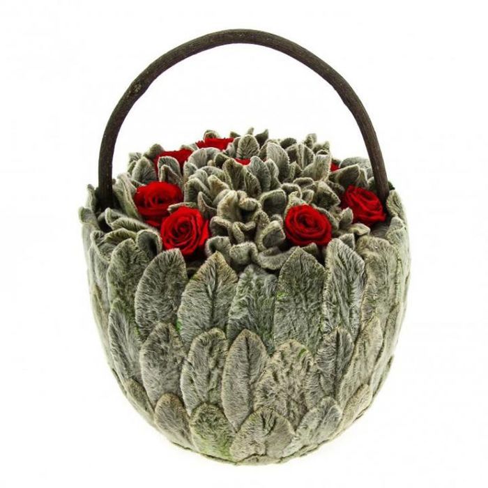 Декоративная композиция "Петит чистец" большая, 15 х 15 х 23 см, красный