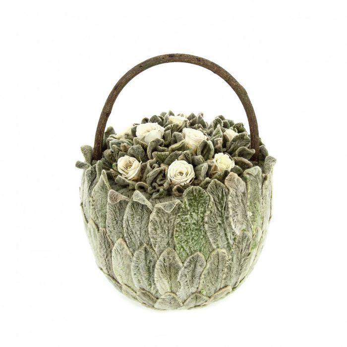 Декоративная композиция "Петит чистец" большая, 15 х 15 х 23 см, белый