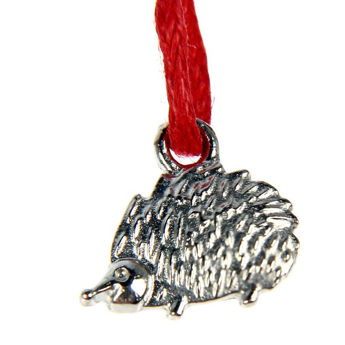 Талисман в кошелек "Денежная защита - Ёжик"