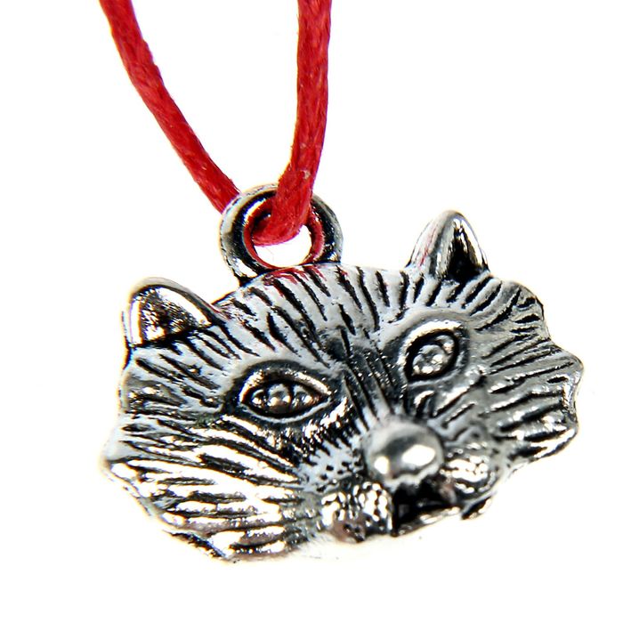 Талисман в кошелек "Умножающий доход енот"