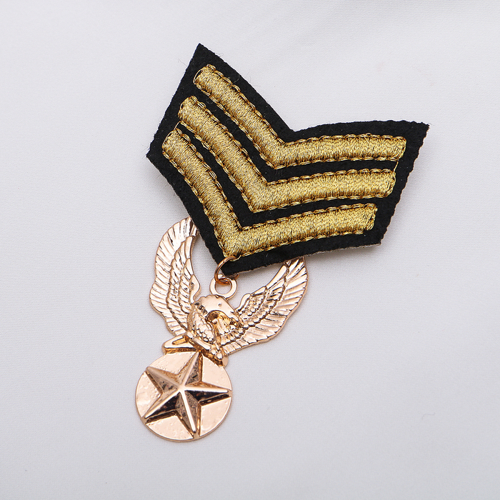 Брошь "Доблесть", цвет чёрно-золотой в золоте