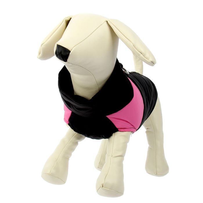 Куртка на синтепоне с креплениями для поводка, размер S (ОГ 35 см, ДС 22,5 см), черная с розовым