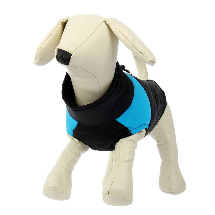 Куртка на синтепоне с креплениями для поводка, размер S (ОГ 39 см, ДС 26,5 см), черная с голубым